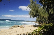 Click to see _HAW0302.JPG