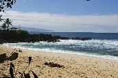 Click to see _HAW0303.JPG