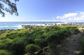 Click to see _HAW0315.JPG