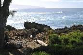Click to see _HAW0317.JPG