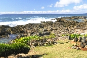 Click to see _HAW0320.JPG