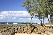 Click to see _HAW0321.JPG