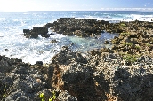 Click to see _HAW0324.JPG