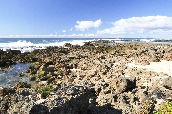 Click to see _HAW0325.JPG