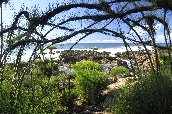 Click to see _HAW0327.JPG