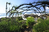 Click to see _HAW0328.JPG