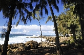 Click to see _HAW0340.JPG