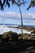 Click to see _HAW0341.JPG