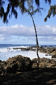 Click to see _HAW0342.JPG
