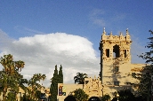 Click to see _HAW0361.JPG