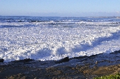 Click to see _HAW0375.JPG