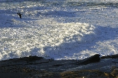 Click to see _HAW0377.JPG
