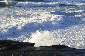Click to see _HAW0378.JPG