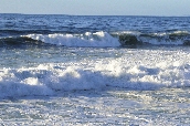 Click to see _HAW0379.JPG