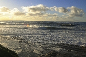Click to see _HAW0380.JPG