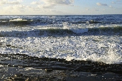 Click to see _HAW0381.JPG