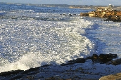 Click to see _HAW0382.JPG