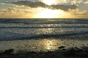 Click to see _HAW0387.JPG