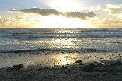 Click to see _HAW0388.JPG
