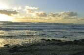 Click to see _HAW0389.JPG