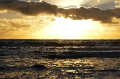 Click to see _HAW0390.JPG