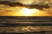 Click to see _HAW0391.JPG