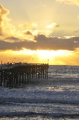 Click to see _HAW0407.JPG
