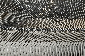 Click to see _KNG0181.JPG