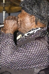 Click to see _DSC5307.JPG