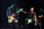 Click to see _DSC7375.JPG