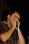 Click to see DSC_2464.JPG
