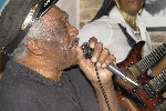 Click to see _DSC8137.JPG