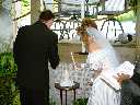 Click to see DSC06442.JPG