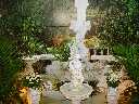 Click to see DSC06500.JPG
