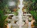 Click to see DSC06501.JPG