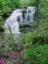 Click to see DSC08894.JPG