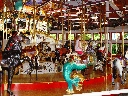 Click to see DSC09045.JPG