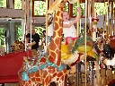 Click to see DSC09055.JPG