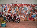 Click to see DSC09068.JPG