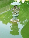 Click to see DSC09129.JPG
