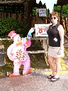 Click to see DSC09136.JPG