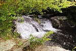 Click to see DSD_8313.JPG