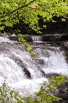 Click to see DSD_8317.JPG
