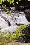 Click to see DSD_8318.JPG