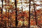 Click to see DSD_8469.JPG