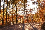 Click to see DSD_8472.JPG