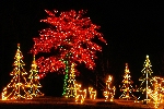 Click to see DSD_8492.JPG